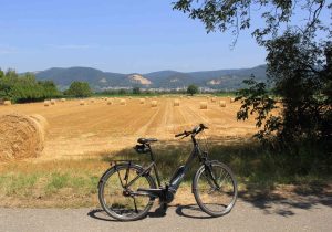 Fahrrad vor Feldern in der Region Rhein-Neckar. Zum Bau vom Radschnellweg zwischen Mannheim, Viernhein und Weinheim gibt es jetzt eine Dialogplattform.