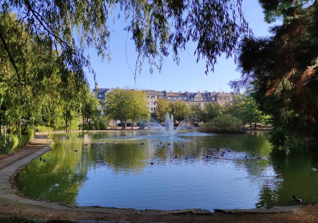 Newsbild zu Online-Beteiligung Offenbach Friedrichsweiher - Ansicht des Teichs in der Parkanlage