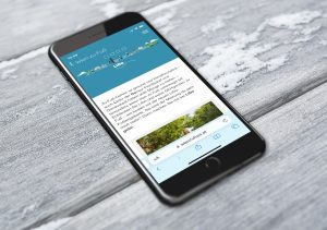 Smartphone mit geöffneter Website vom Projekt "LiDo geht". Dabei kommt die App GehCheck intensiv zum Einsatz udn hilft dabei, Handlungsempfehlungen für einen attraktiveren Fußverkehr zu sammeln.