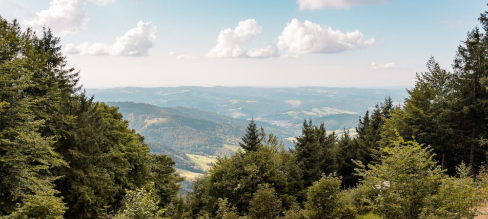 Blick über den Schwarzwald in Baden-Württemberg. Dort soll ein neuer Landesentwicklungsplan erstellt werden, der den Rahmen für die räumlichen Planungen im Land setzt. Begleitet wird das Projekt von einem breit angelegten Beteiligungsprozess, der u.a. von der wer denkt was GmbH umgesetzt wird.