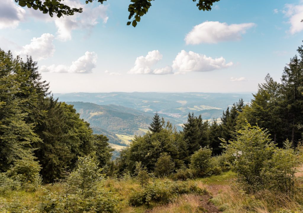 Blick über den Schwarzwald in Baden-Württemberg. Dort soll ein neuer Landesentwicklungsplan erstellt werden, der den Rahmen für die räumlichen Planungen im Land setzt. Begleitet wird das Projekt von einem breit angelegten Beteiligungsprozess, der u.a. von der wer denkt was GmbH umgesetzt wird.
