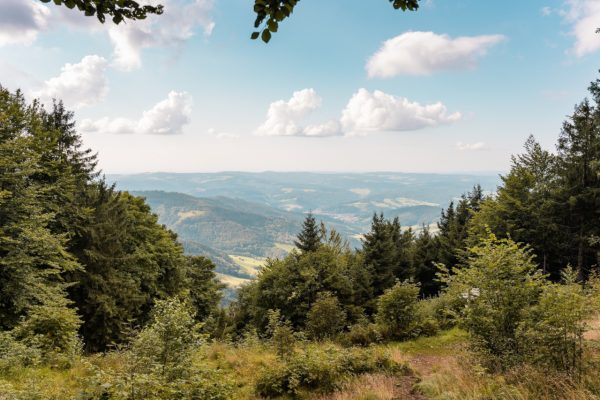 Blick über den Schwarzwald in Baden-Württemberg. Dort soll ein neuer Landesentwicklungsplan erstellt werden, der den Rahmen für die räumlichen Planungen im Land setzt. Begleitet wird das Projekt von einem breit angelegten Beteiligungsprozess, der u.a. von der wer denkt was GmbH umgesetzt wird.