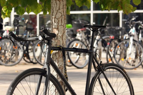 schwarzes Fahrrad vor einem Baum, im Hintergrund weitere Fahrräder. Mit dem Ziel, ein neues Mobilitätskonzept für die Stadt zu entwickeln, führt die Stadt Buchholz in der Nordheide bis zum 26.6.24 gemeinsam mit der wer denkt was GmbH und R+T Verkehrsplanung eine Online-Umfrage zur Mobilität durch.
