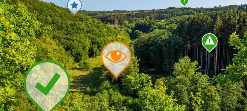 Bild eines Waldes, ergänzt sind farbige Marker als Symbole für die Hinweise und Beobachtungen, die im Rahmen des FSC-Audits auf dem neuen Online-Portal in Rheinland-Pfalz hinterlegt werden