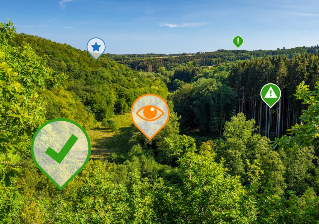 Bild eines Waldes, ergänzt sind farbige Marker als Symbole für die Hinweise und Beobachtungen, die im Rahmen des FSC-Audits auf dem neuen Online-Portal in Rheinland-Pfalz hinterlegt werden