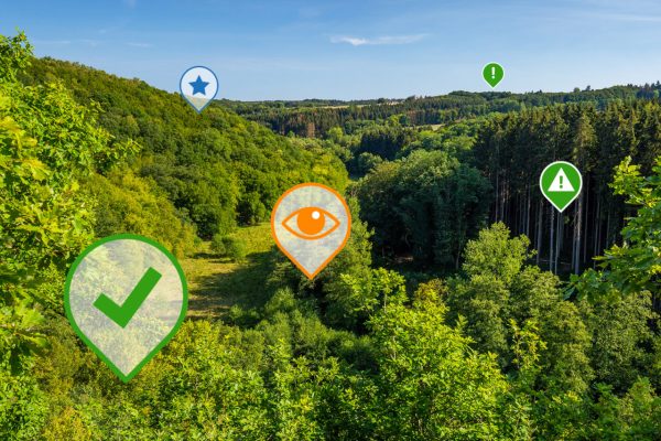 Bild eines Waldes, ergänzt sind farbige Marker als Symbole für die Hinweise und Beobachtungen, die im Rahmen des FSC-Audits auf dem neuen Online-Portal in Rheinland-Pfalz hinterlegt werden
