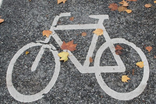 weißes Fahrradsymbol auf grauer Asphaltstraße; Symbolbild zum Newsbeitrag zur Online-Beteiligung der Stadt Graz zur Fahrradstraße in der Laimburggasse