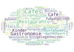 Wortwolke aus dem Abschlussbericht zur Weiterentwicklung der Buchholzer Innenstadt. Lesbar sind u.a. folgende Wünsche für die Innenstadt: Restaurants, Cafe, Bekleidung, Jugendliche, Bars, Spielplatz.