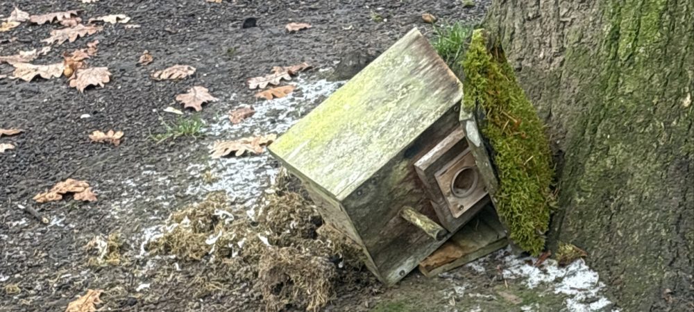 ein herabgestürzter Nistkasten liegt im Wald neben einem Baum. Auffälligkeiten wie diese können in Rheinland-Pfalz ab sofort mit der App und über das Web-Portal "WaldEcho Rheinland-Pfalz" gemeldet werden.