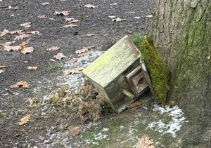ein herabgestürzter Nistkasten liegt im Wald neben einem Baum. Auffälligkeiten wie diese können in Rheinland-Pfalz ab sofort mit der App und über das Web-Portal "WaldEcho Rheinland-Pfalz" gemeldet werden.
